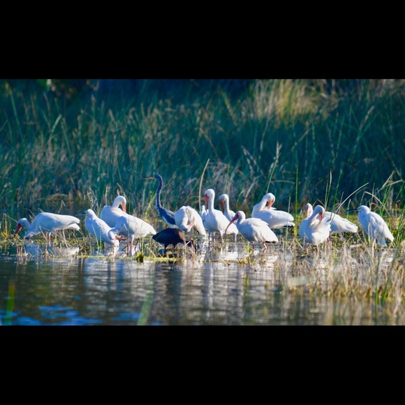 Meet the Posher...Pam - Picture 11 of 16